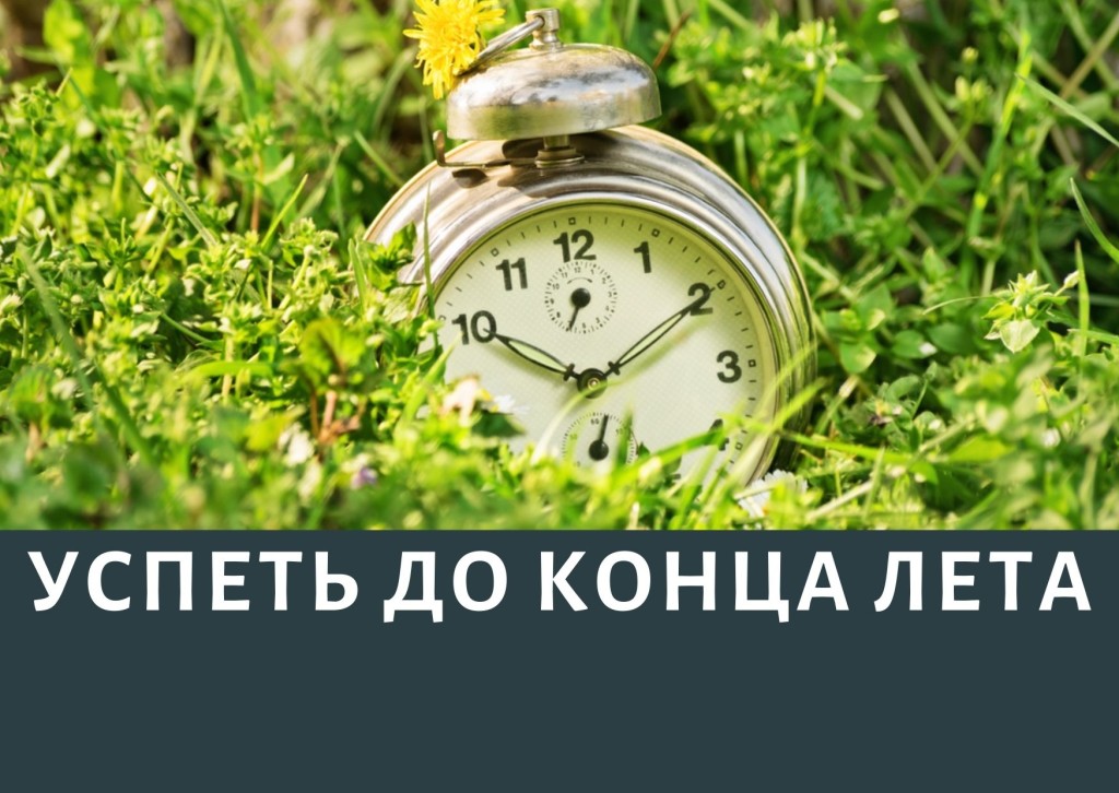 Сделать до конца лета. Будильник на траве. Летнее время. Часы на лугу. Будильник и календарь в траве.